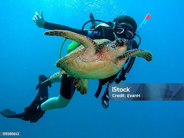 Buzo Con Tortuga De Mar Foto de stock y más banco de imágenes de Aire libre - Aire libre, Buceo con equipo, Dermoquélidos