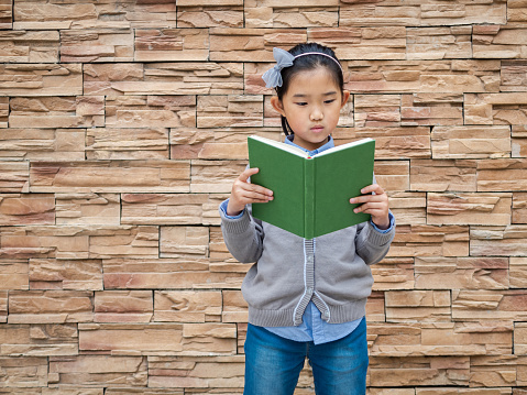 Asian Pupils on Stone Wall Background