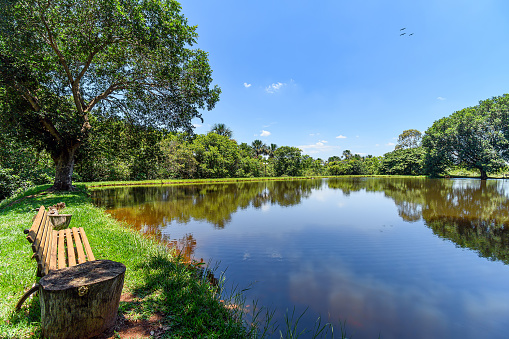 Wooden bench next to a fishing lake with calm water and green trees around. Concept of a peaceful place to live during retirement, and a eco lifestyle next to the nature.