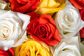 istock red, yellow and white roses in a bouquet. macro flowering rosebuds 1393810156