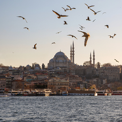 A lot of seagulls are flying over Istanbul minarets and mosques