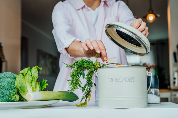 istock Compost the kitchen waste, recycling at home. Woman putting vegetables cutted leftovers into the garbage, compost bin on the table of kitchen. Environmentally responsible, ecology. Selective focus. 1393812148