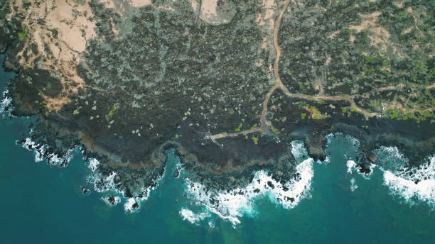 istock Abstract land surface on Lanzarote island seashore 1393816580