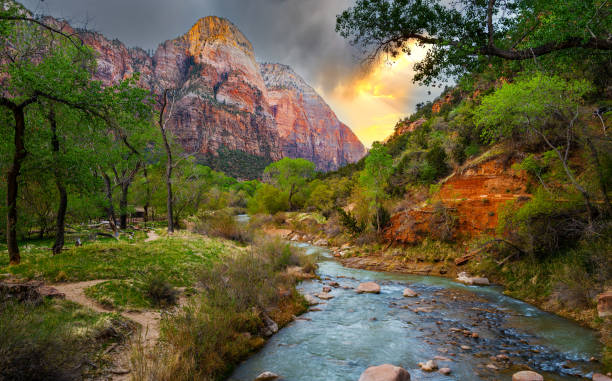 Virgin River in Zion National Park stock photo