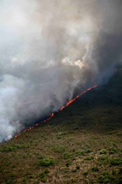 incendio forestal en la amazonía brasileña - deforestación desastre ecológico fotografías e imágenes de stock