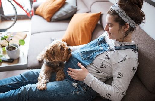 Young pregnant woman at home sitting on sofa and relaxing with pet dog .