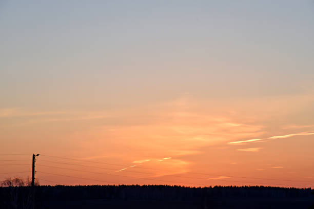 Evening sunset sky and horizon with forest