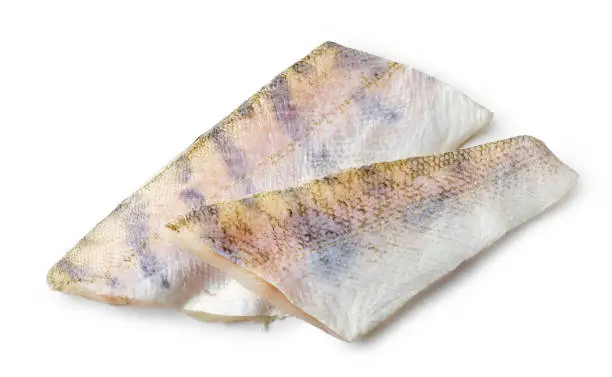fresh raw zander fillet isolated on white background, top view