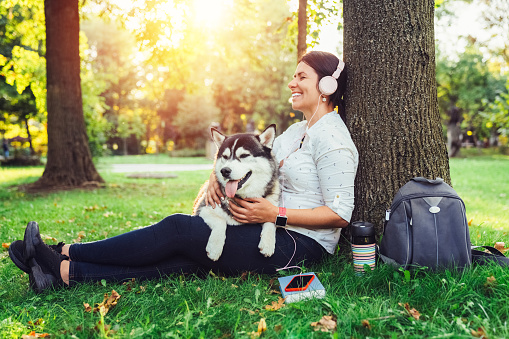 Siberian husky with owner feeling relaxed in the park