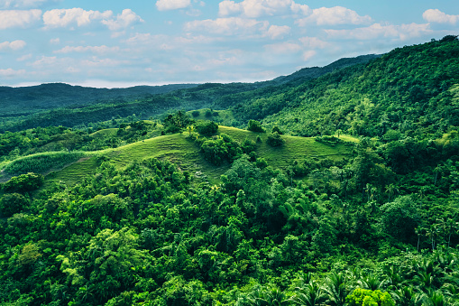 Top aerial view over green jungle landscape\nSiquijor island, The Philippines