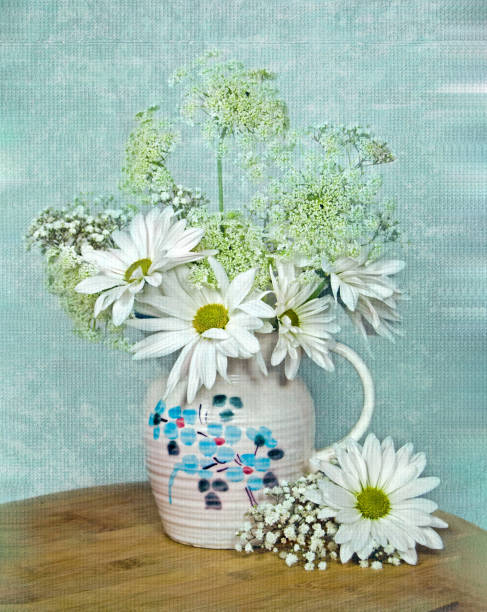 Daisy and Queen Anne Lace Bouquet stock photo