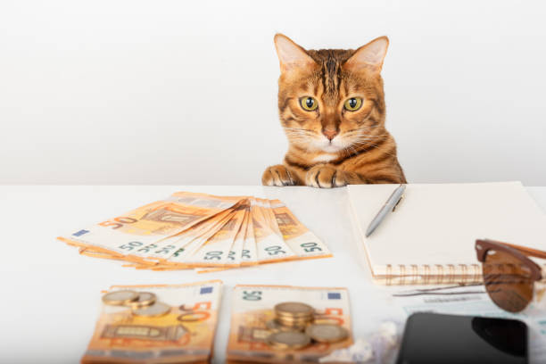 istock A domestic cat sits at a table with money and a notepad. 1393834989