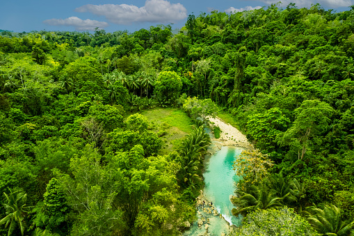 Vietnam, Riverbank, River, Tropical Climate, Water