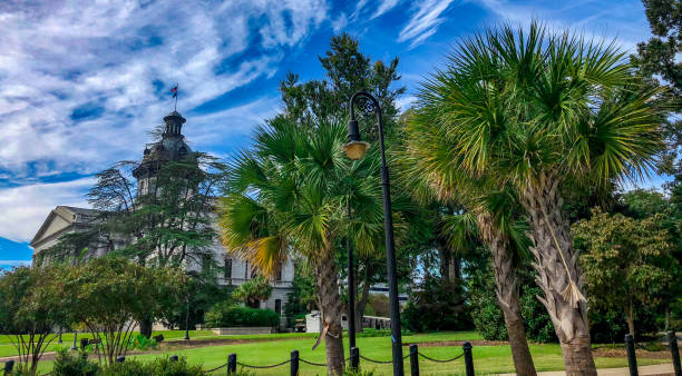 Palm trees fill the frame, evoking a warm, summery tropical vibe with a distant building and light pole against a clear, bright blue sky — peaceful urban coastal scene