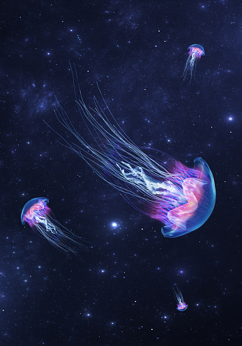 Glowing jellyfish swim deep in blue sea cosmos. Medusa neon jellyfish fantasy in space cosmos among stars and universe. 3d render