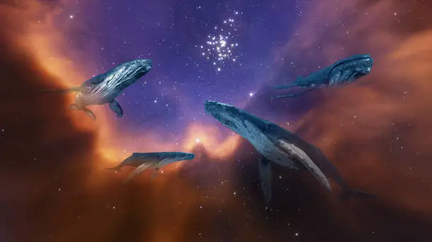 Photo of Big humpback whale swims in clouds, stars cosmos sky and planet. Humpback whale dives into gas nebula of billions of stars. Big planet in space. 3d render
