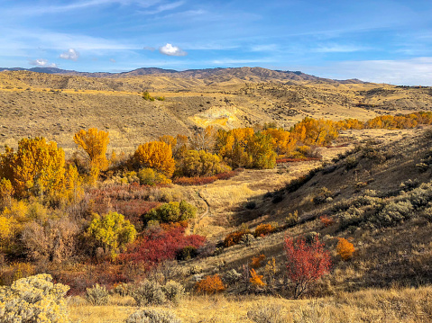 Hiking in the Boise foothills, Idaho