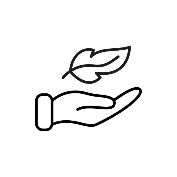 lightweight feather on hand line icon. soft delicate sensitive plumelet linear pictogram. light weight outline symbol. easy smooth feather. editable stroke. isolated vector illustration - 輕的 幅插畫檔、美工圖案、卡通及圖標