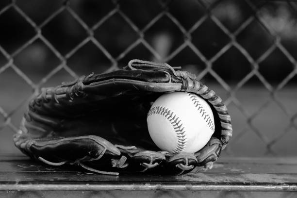 istock Baseball equipment in dugout 1393841875