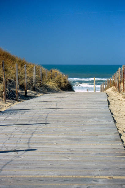 istock Path of the boards on the dune 1393844403