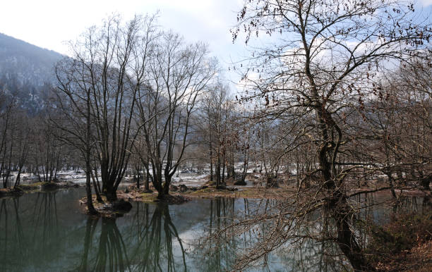 istock Tesvikiye - Yalova / TURKEY 1393844482