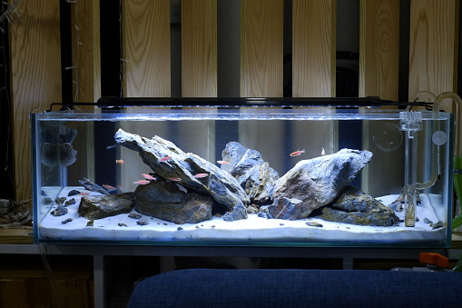 Fish tank with rock decoration