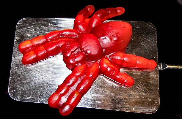 Red gummy spider on spatula stock photo