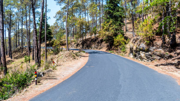 istock View from road towards Jageshwar dham from Almora, Uttarakhand 1393848683
