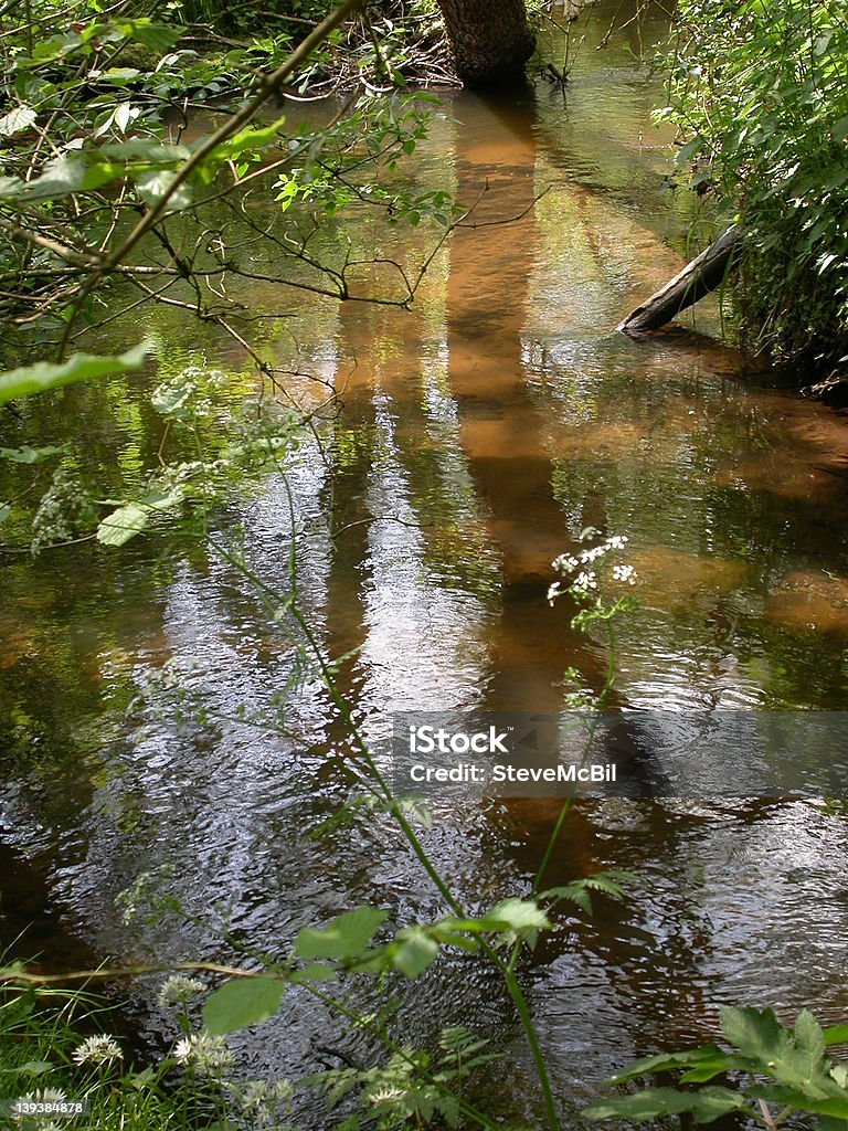 Reflektionen in Sandy Stream 01 - Lizenzfrei Biodiversität Stock-Foto