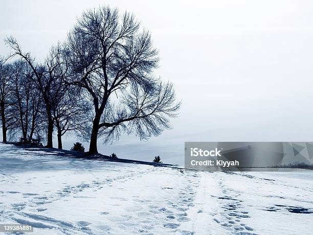 Zimno - zdjęcia stockowe i więcej obrazów Burza - Burza, Burza śnieżna, Chłodny