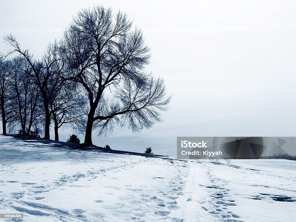 Cold - Стоковые фото Береговая линия роялти-фри