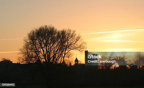 Veduta Serale Dello Skyline - Fotografie stock e altre immagini di Albero - Albero, Ambientazione esterna, Ambientazione tranquilla