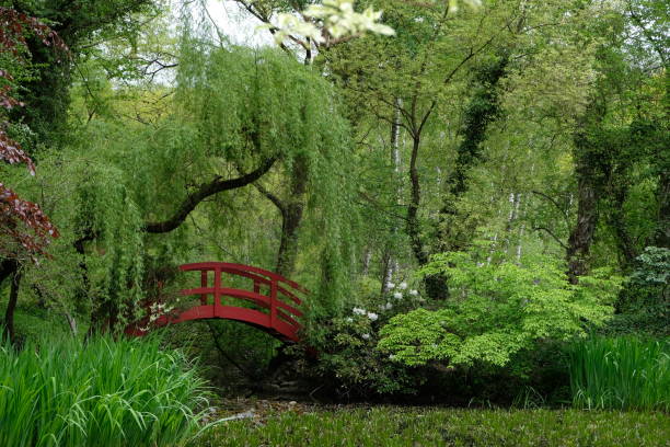 Japanese-style Red Arch Bridge in Park
