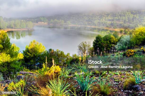 Toba Reservoir Stock Photo - Download Image Now - Reservoir, Tufa, Color Image