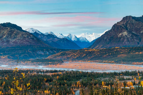 dramatic landscape of golden yellow autumn foliage of aspen and birch trees and snowcapped mountains of the chugach mountain range in alaska. - valley tree remote landscape imagens e fotografias de stock