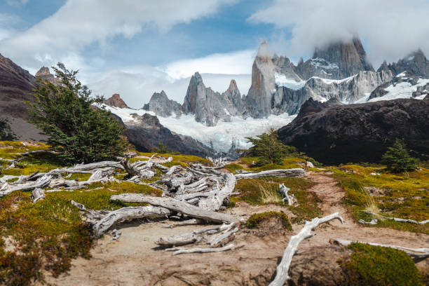 cerro chaltén 또는 fitz roy mount: 아르헨티나 파타고니아 주 로스 글라시아레스 국립공원의 인상적인 산맥 - cerro torre 뉴스 사진 이미지
