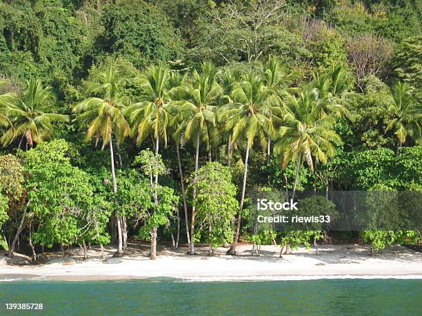 Paradeise Beach - Fotografias de stock e mais imagens de Ao Ar Livre - Ao Ar Livre, Areia, Floresta Tropical