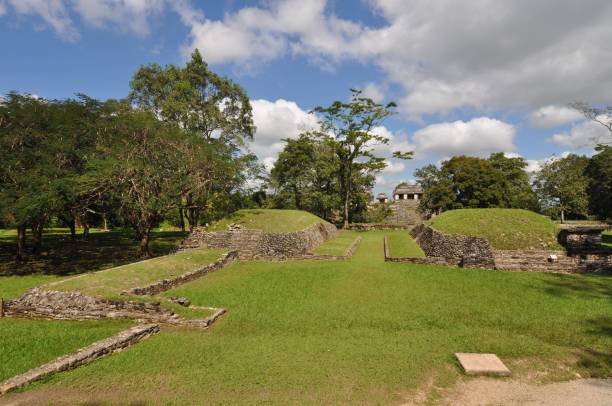 istock The Palenque ruins, Mexico. 1393858209