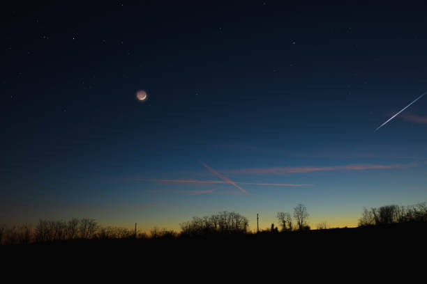 Crescent Moon with stars, planets and tree silhouettes on evening sky.