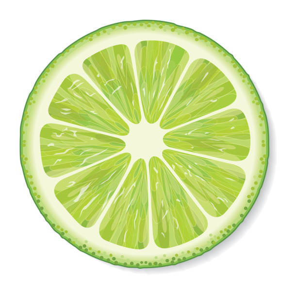 lime vector, illustration, lime, lemon citric acid stock illustrations