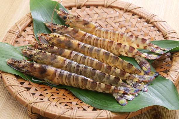 camarões kuruma em uma bandeja de bambu, sushi japonês e ingredientes tempura - prawn - fotografias e filmes do acervo