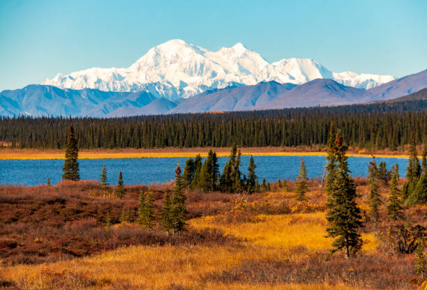 istock Denali Mountain and its reflection on a blue colored lake on a clear autumn day. 1393859965