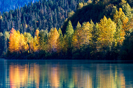 clear blue sky sky and autumn foliage and mounter reflection on a tranquil lake in Kenai peninsula , Alaska