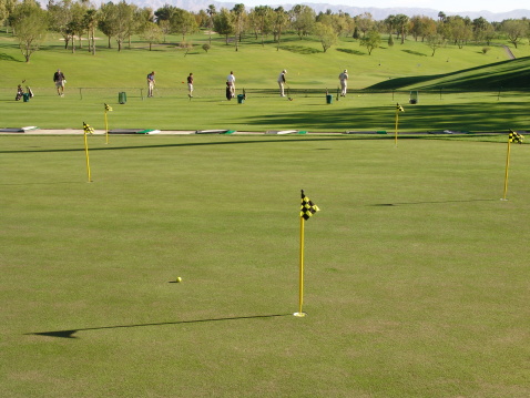 Green lawn and forest at the golf exercise field