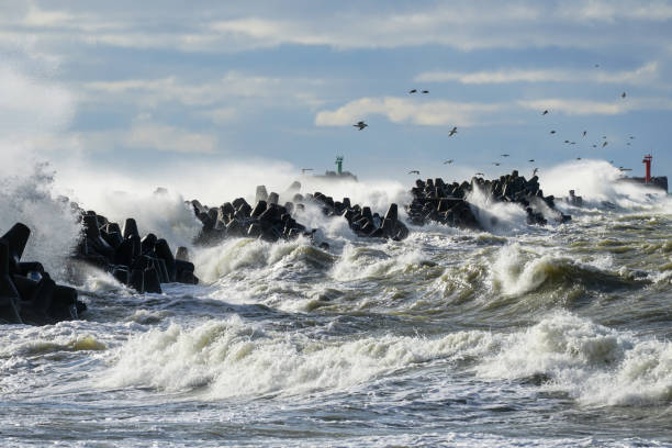 istock Big waves breaking over harbor breakwall concrete tetrapods 1393868766