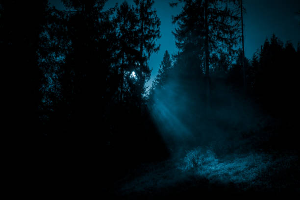istock Moonlight through the mist in the spooky night forest, create a spotlight on the grass. Halloween backdrop. 1393869984