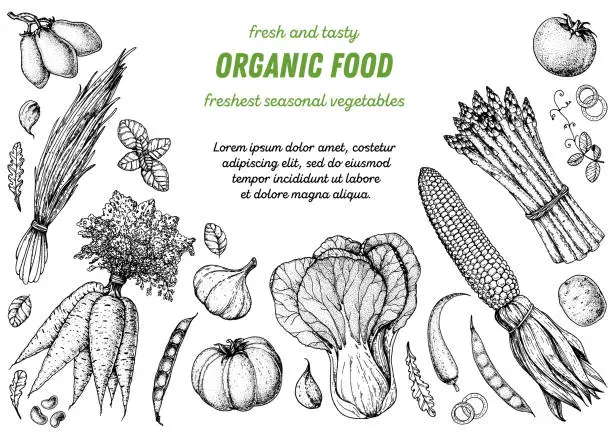 Vector illustration of Vegetables sketch. Hand drawn illustration. Top view frame. Organic food poster. Good nutrition, healthy food. Vector illustration. Carrot, corn, tomato, garlic, asparagus, bok choy, cabbage, salad.