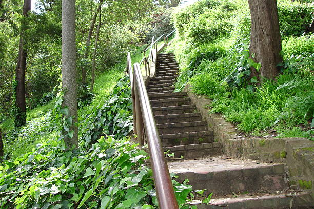 Stairs to Koit Tower stock photo