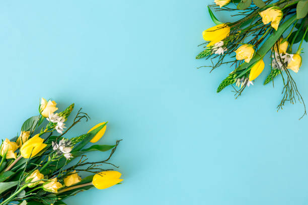 istock Yellow tulips on a blue background, flat lay. 1393870646