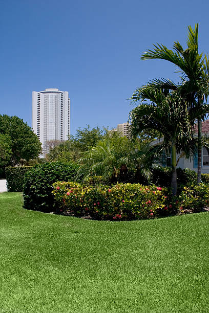 Beautifully Landscaped Home with Condominium in Distance stock photo